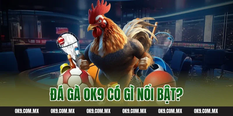 Đá gà OK9 có gì nổi bật?