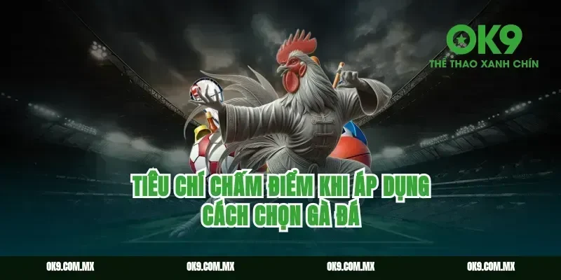 Tiêu Chí Chấm Điểm Khi Áp Dụng Cách Chọn Gà Đá