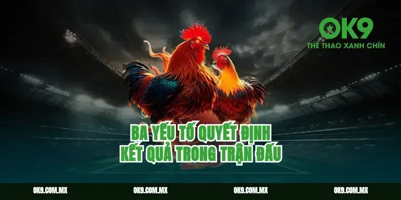 Ba yếu tố quyết định kết quả trong trận đấu