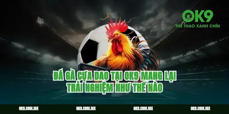 Đá gà cựa dao tại ok9 mang lại trải nghiệm như thế nào