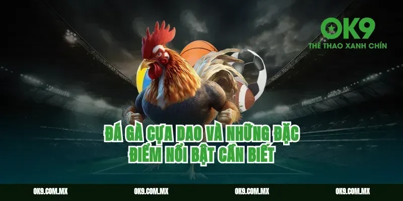 Đá gà cựa dao và những đặc điểm nổi bật cần biết