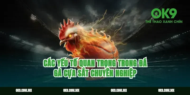 Các yếu tố quan trọng trong đá gà cựa sắt chuyên nghiệp