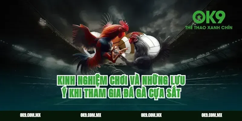 Kinh nghiệm chơi và những lưu ý khi tham gia đá gà cựa sắt