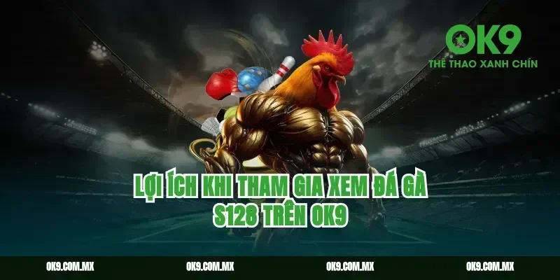 Lợi ích khi tham gia xem đá gà S128 trên ok9