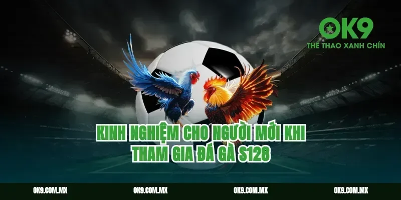 Kinh nghiệm cho người mới khi tham gia đá gà S128