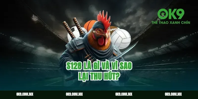 S128 là gì và vì sao lại thu hút?