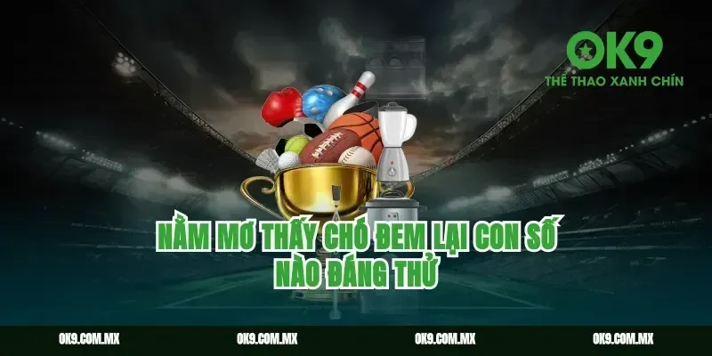 nằm mơ thấy chó đem lại con số nào đáng thử
