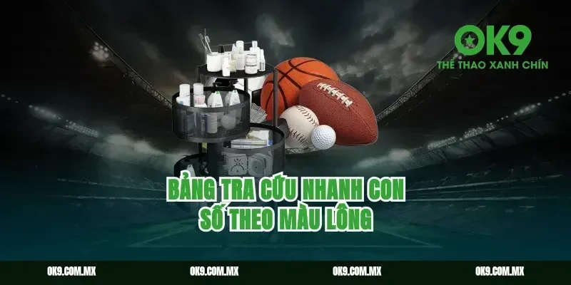 Bảng tra cứu nhanh con số theo màu lông
