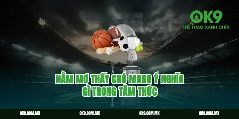 nằm mơ thấy chó mang ý nghĩa gì trong tâm thức
