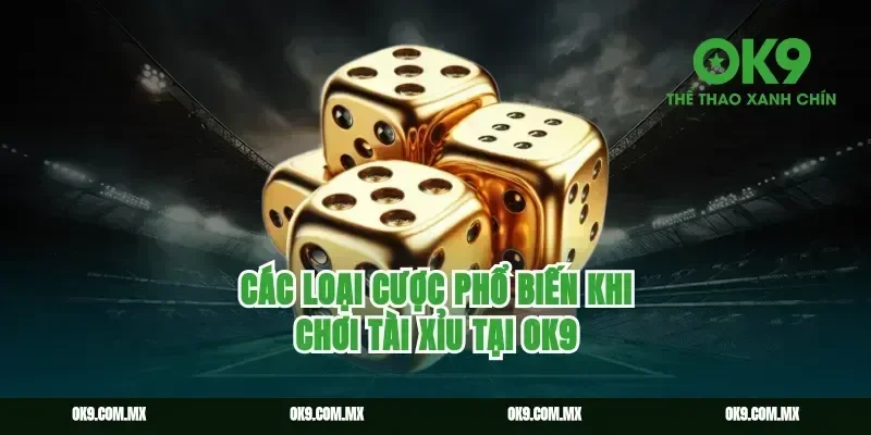 Các Loại Cược Phổ Biến Khi Chơi Tài Xỉu Tại ok9